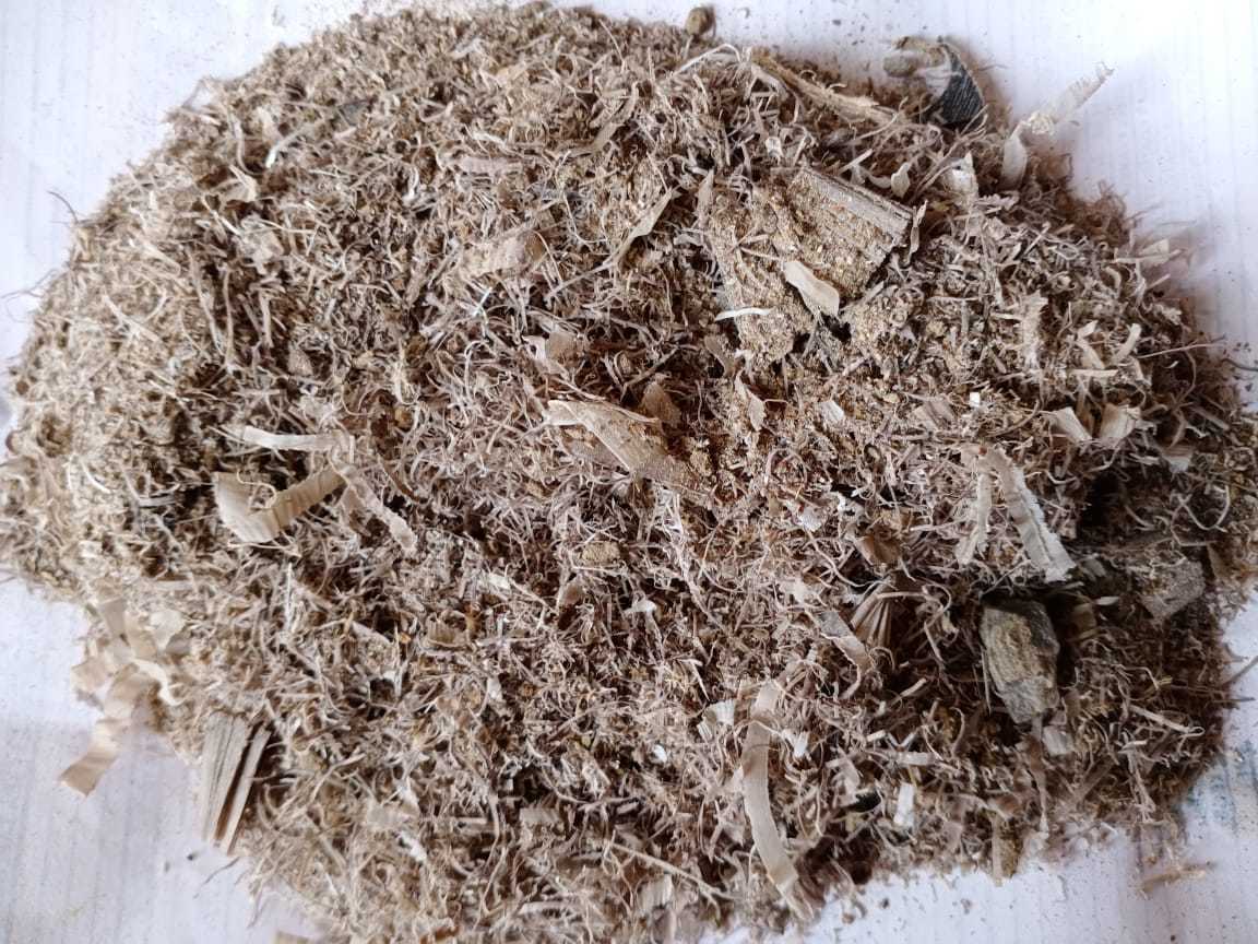 Horn Meal Application: Organic Fertilizer