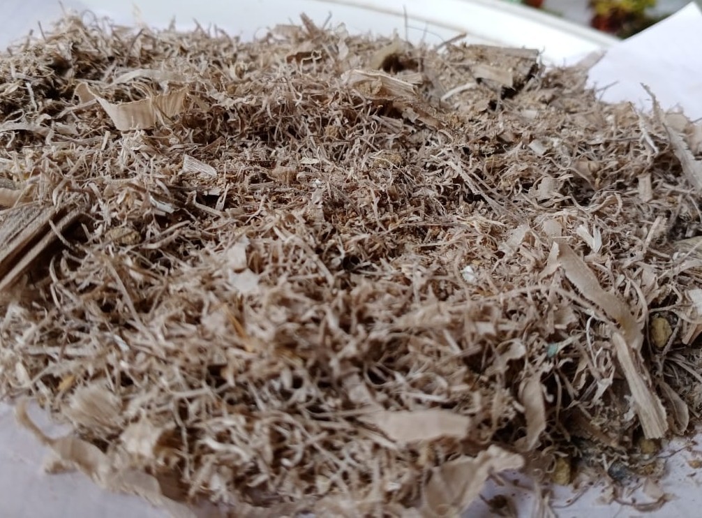 Horn Meal Application: Organic Fertilizer