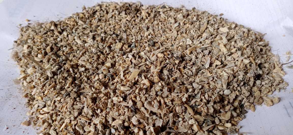Bone Meal Powder