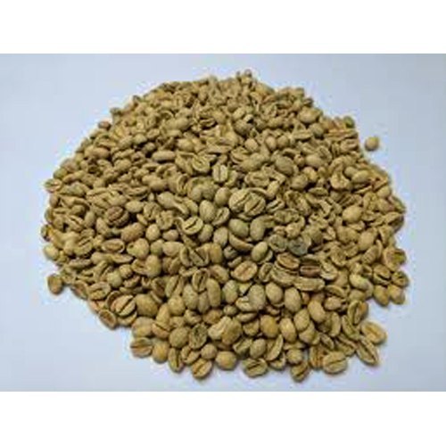 Monsoon Malabar Coffee - 50 Kilograms | Heavy Bodied, Pungent Aroma With Musty Chocolate Notes, Smooth And Strong Taste, Green Coffee Beans