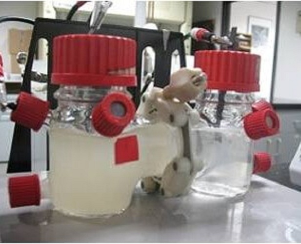 Microbial H-cell (1 L)