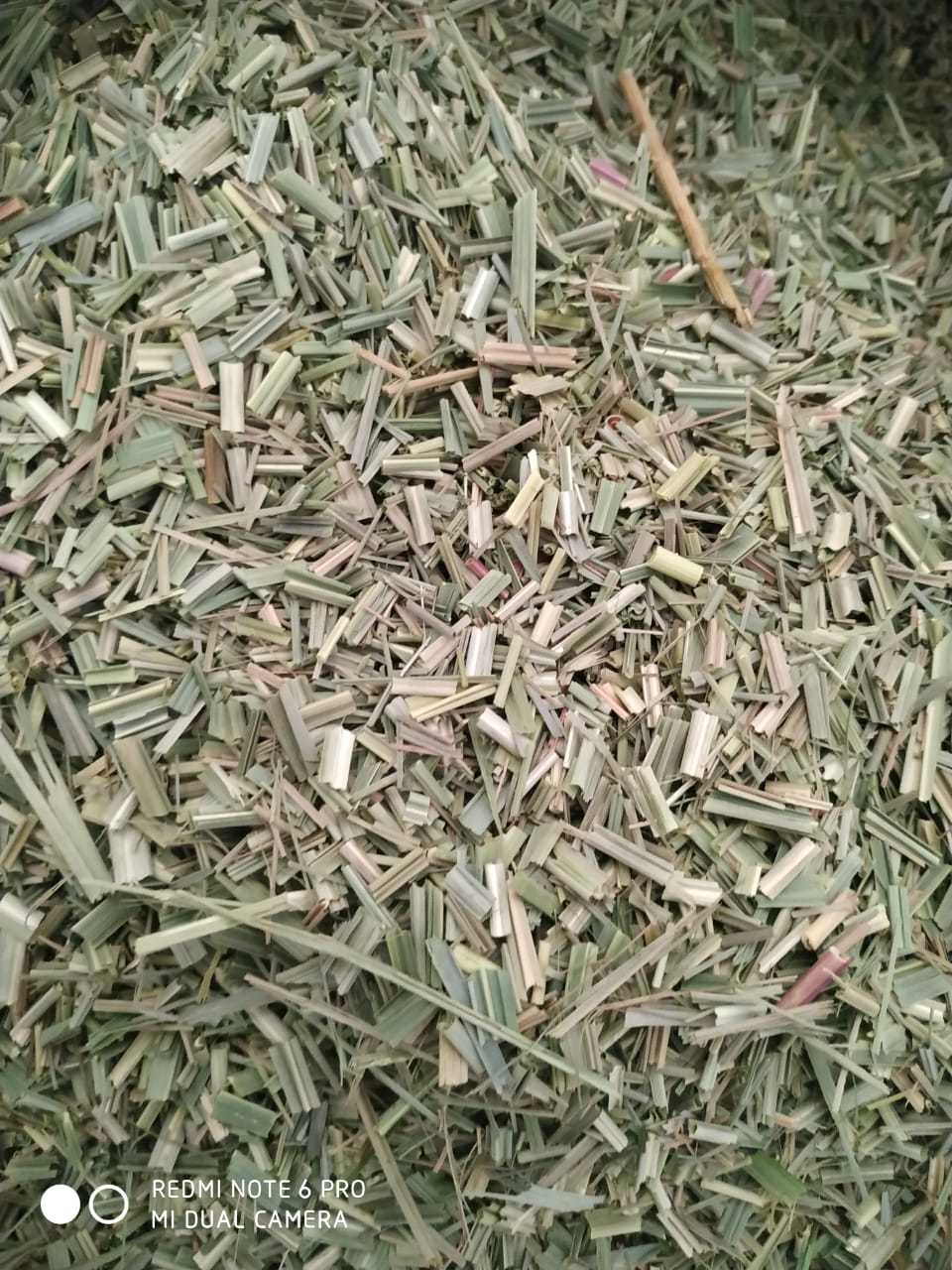 Dry Lemongrass