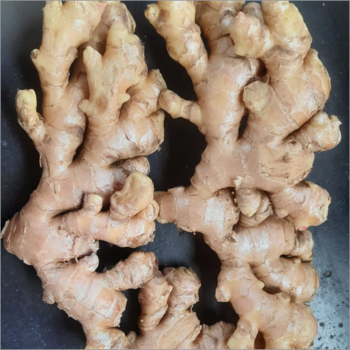 Fresh Ginger - Irregular Size, Beige Color | High Quality Natural Flavor, Versatile, Healthy, Aromatic, Fibrous Texture