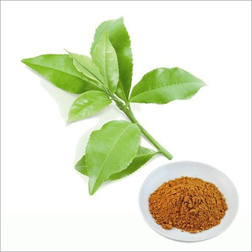 Tea Polyphenols Powder