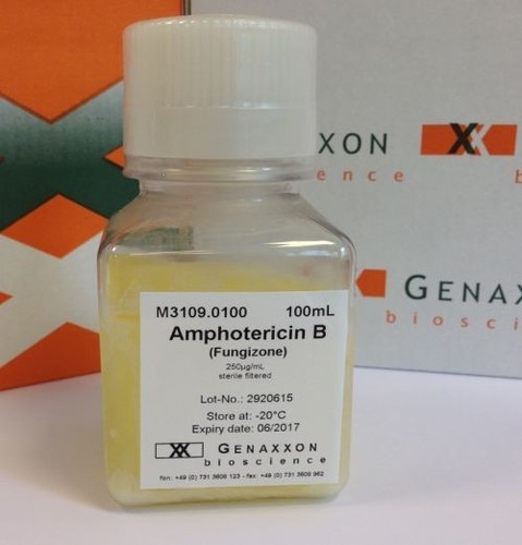 Amphotericin B