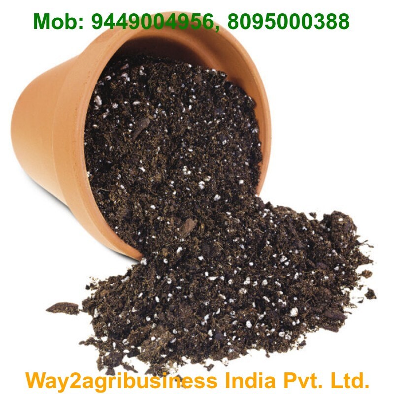 Potting Mix