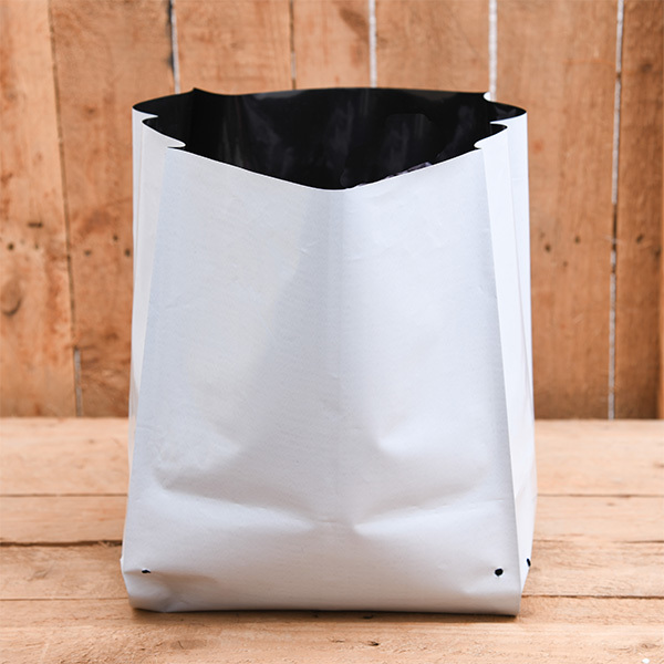 Grow Bag