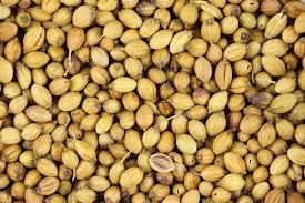 Coriander Seed - Small Oval Brown Seeds | Rough Texture, Bulk Packaging, Quality Material