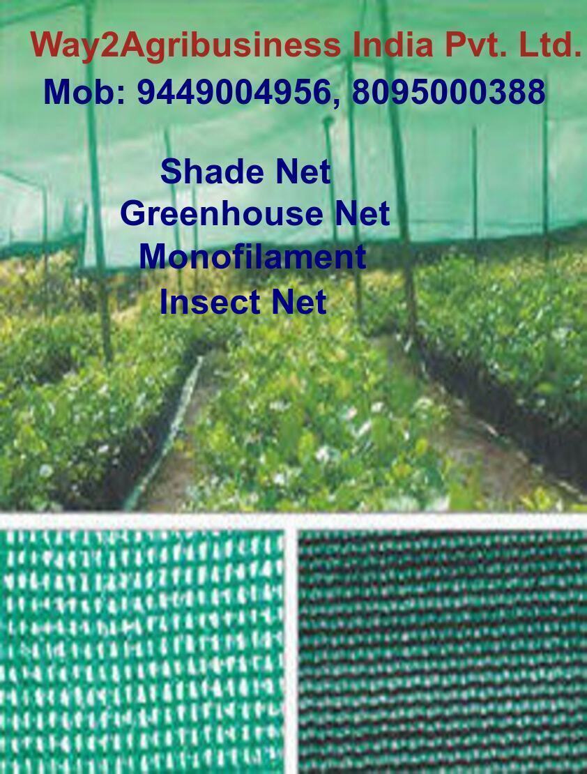 Shade Net - Polyethylene 50m X 2m, Green | 1.5mm Density, 1.5cm Mesh Size, Durable, Uv Resistant, Weatherproof, Easy Installation