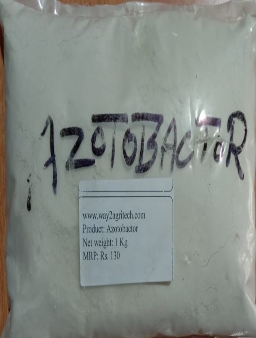 Azotobacter Bio Fertilizer