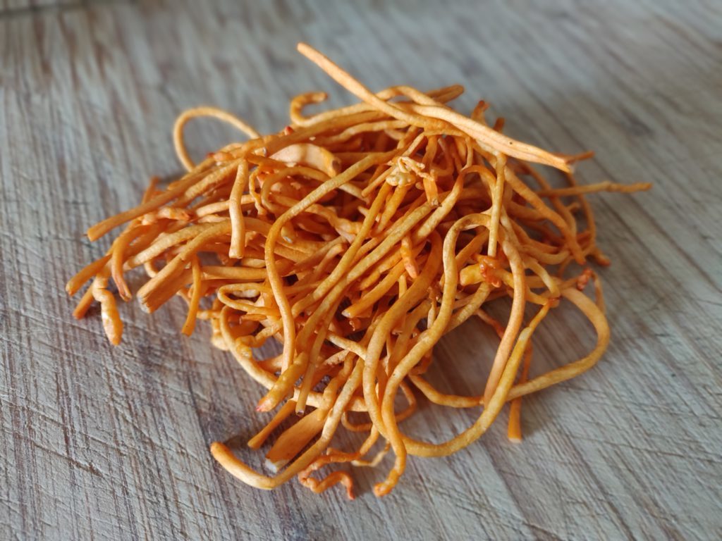 Cordyceps Militaries