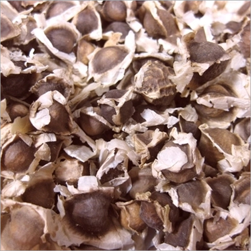 Natural Moringa Seeds