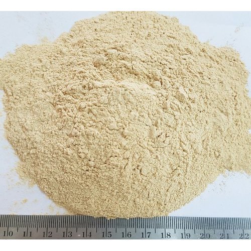 Dehydrated Garlic Powder - 25 Kg, Cream Color, 80-100 Mesh Size | Food Grade, No Preservatives, Hot Air Dried, Strong Garlic Flavor