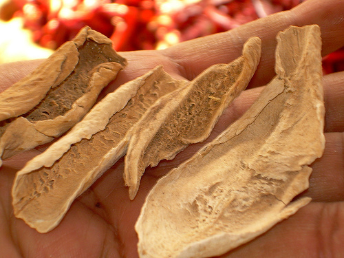 Amchur Slices - Dried Mango Slices, Dehydrated Using Continuous Hot Air Drying Technology, No Additives Or Chemicals Added