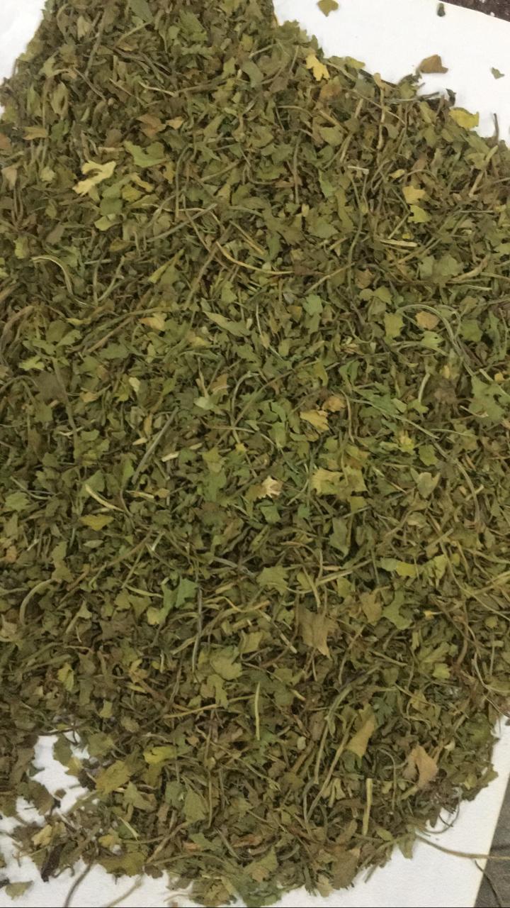 Dried Coriander Leaves - 10 Kg Pp Bag | Sun Dried, Chopped Flakes, Light Green Color, 24 Months Shelf Life, No Additives Or Chemicals