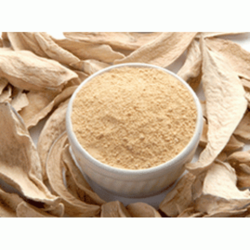 Amchur Powder Dehydration Method: Continuous Hot Air Drying Technology