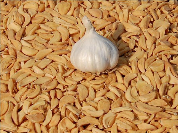 Dehydrated Garlic Flakes - No Preservatives, 1.6-1.8 Mm Thickness | Continuous Hot Air Drying, 24 Months Shelf Life, Attractive Garnish