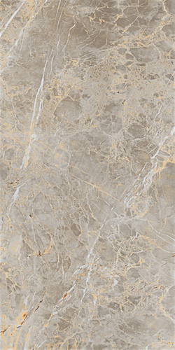 कैराकस ग्रे 1200X2400 मिमी स्लैब पोर्सिलेन टाइल्स नमी सामग्री: नहीं