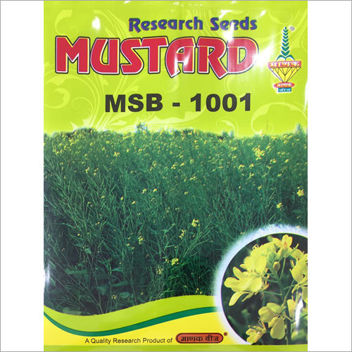 Msb-1001 Research Mustard Seeds