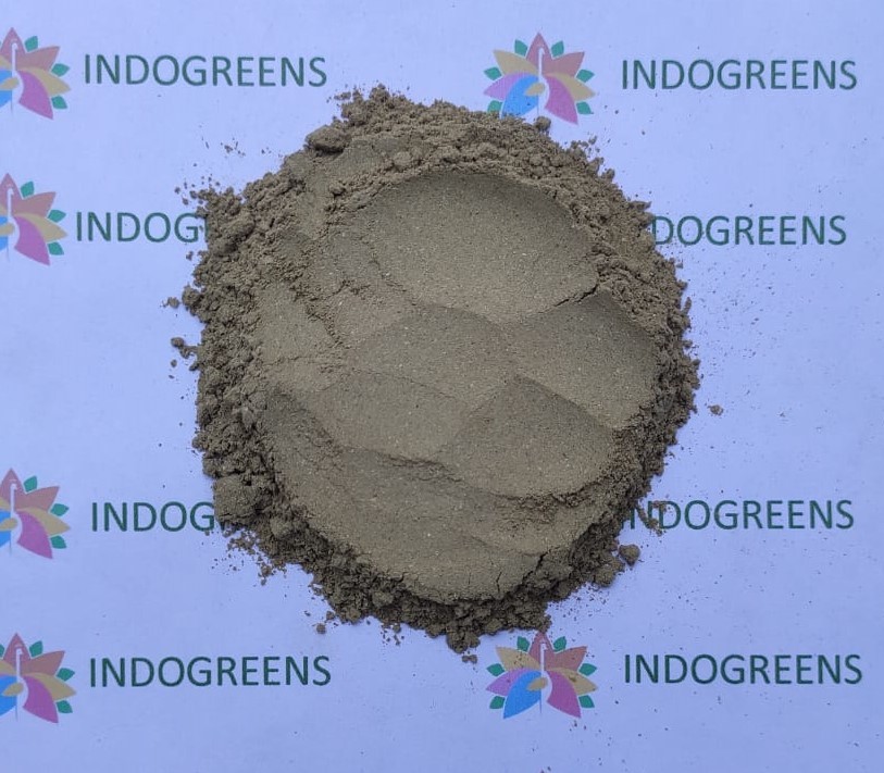 Aloevera Powder