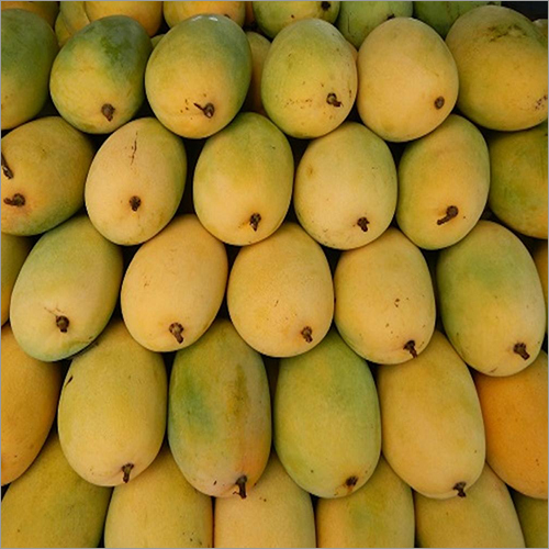 ताज़ा आम