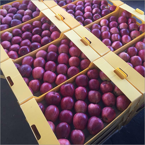 Fresh Natural Red Apple