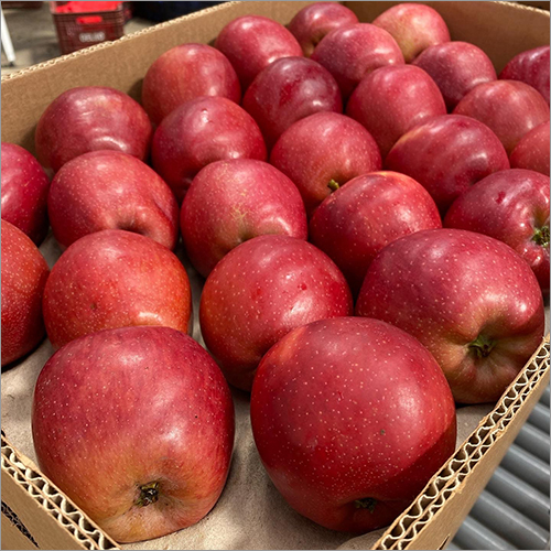 Fresh Natural Red Apple