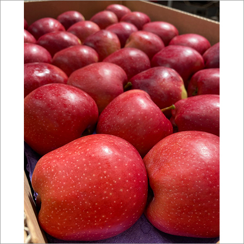 Fresh Natural Red Apple