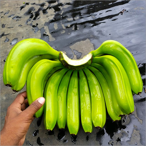 Fresh Banana - Cavendish Variety, 15-20cm Length, Green Color, 2-4kg Bunch Weight | Ideal For Direct Consumption, Smoothies, Baking