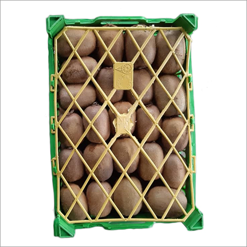 Fresh Kiwi - Plastic Crate Packaging, Brown Color | Tasty Dessert Ingredient, Healthy Salad Addition, High Demand Berry