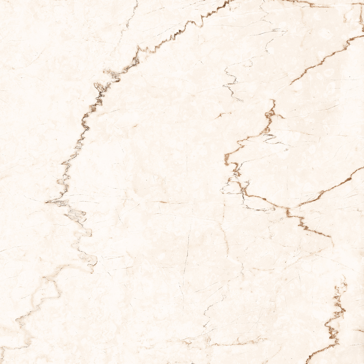 Cream Bottochino Classico Crema 1200x1200mm Porcelain Tiles