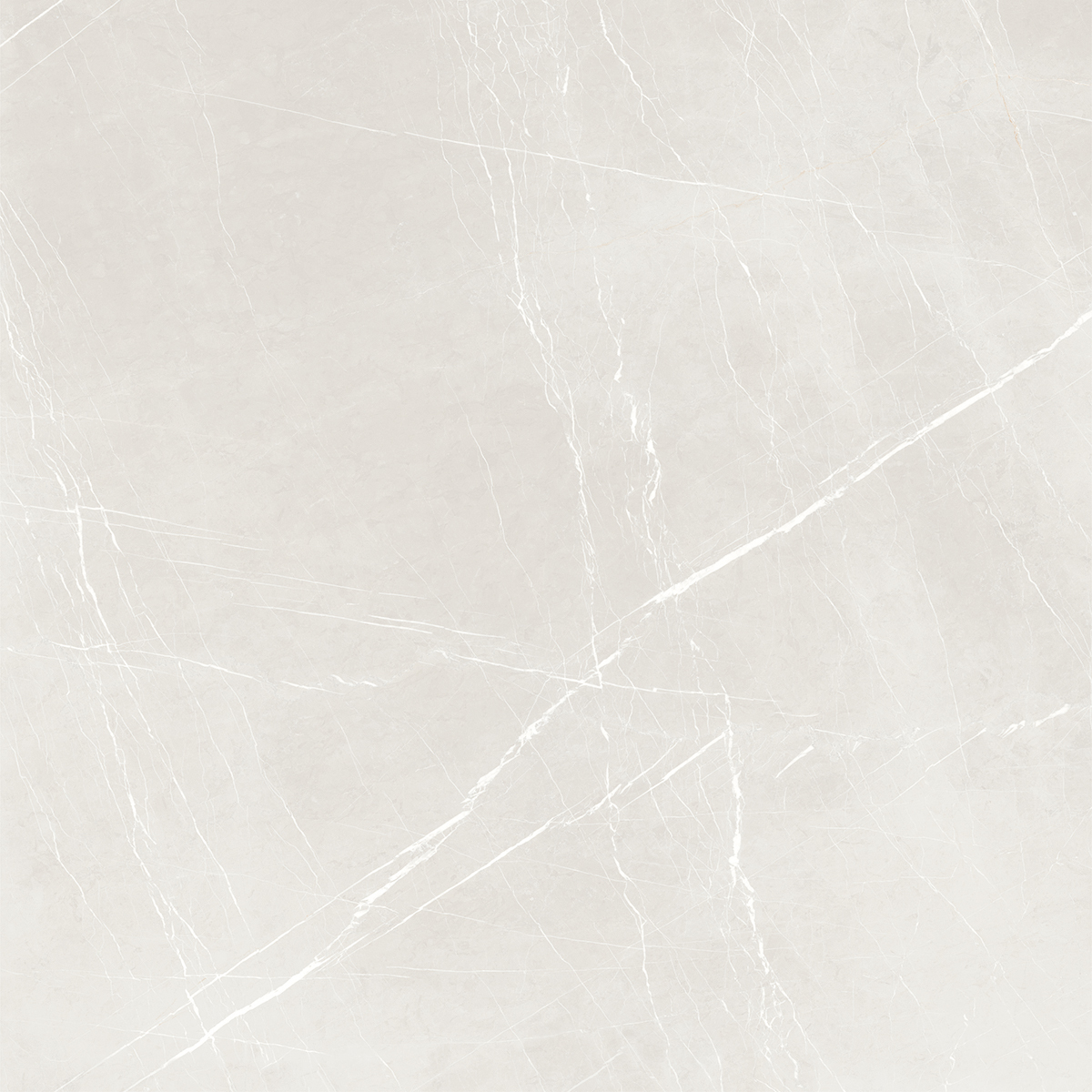 Grey French Porcelain 1200x1200mm Porcelain Tiles