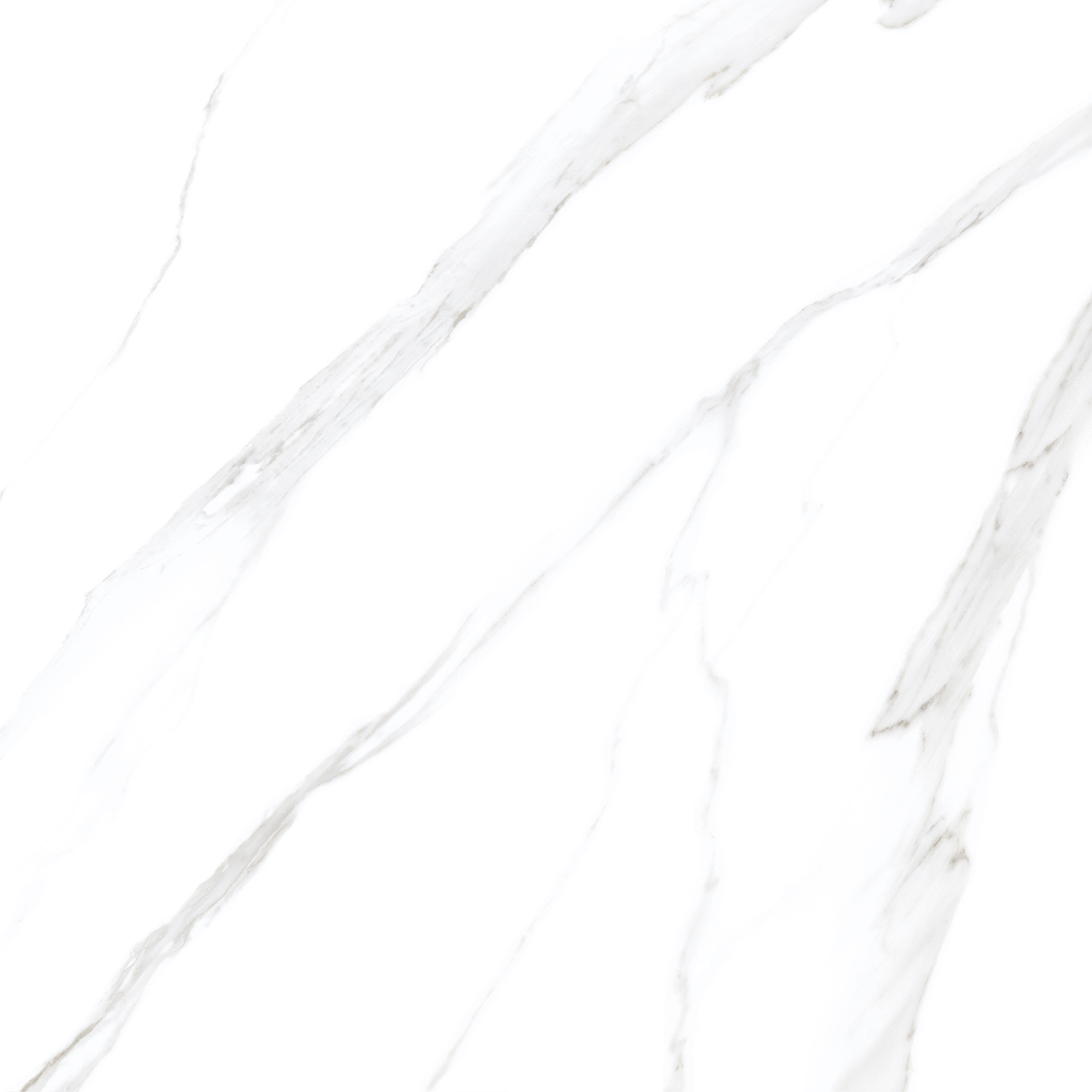 White Statuario Pearl 1200x1200mm Porcelain Tiles