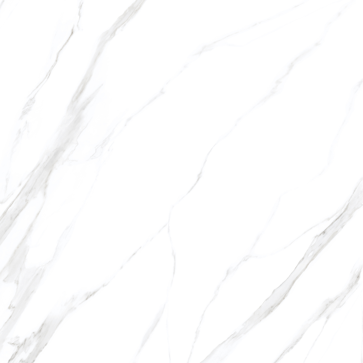 White Statuario Pearl 1200x1200mm Porcelain Tiles