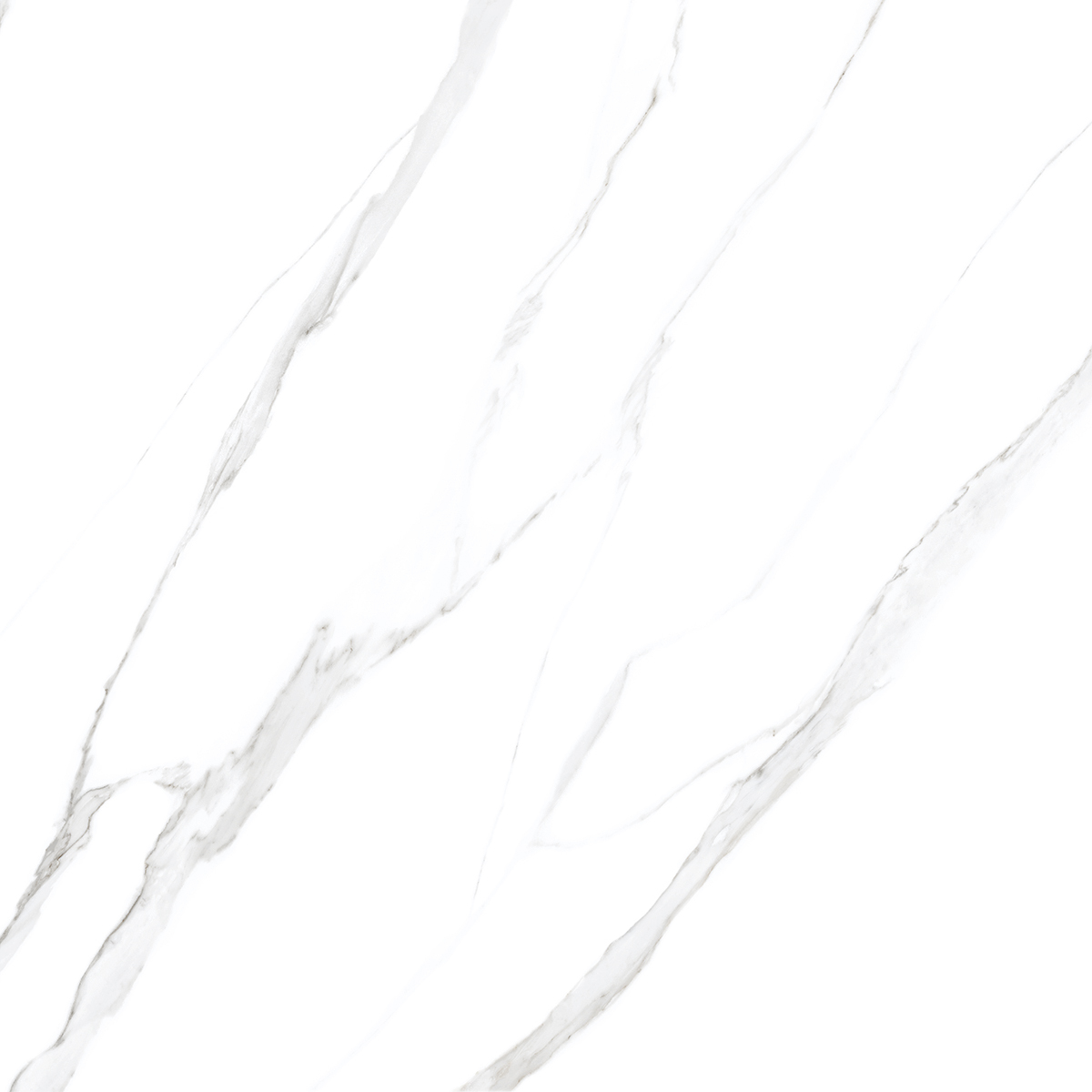White Statuario Pearl 1200x1200mm Porcelain Tiles