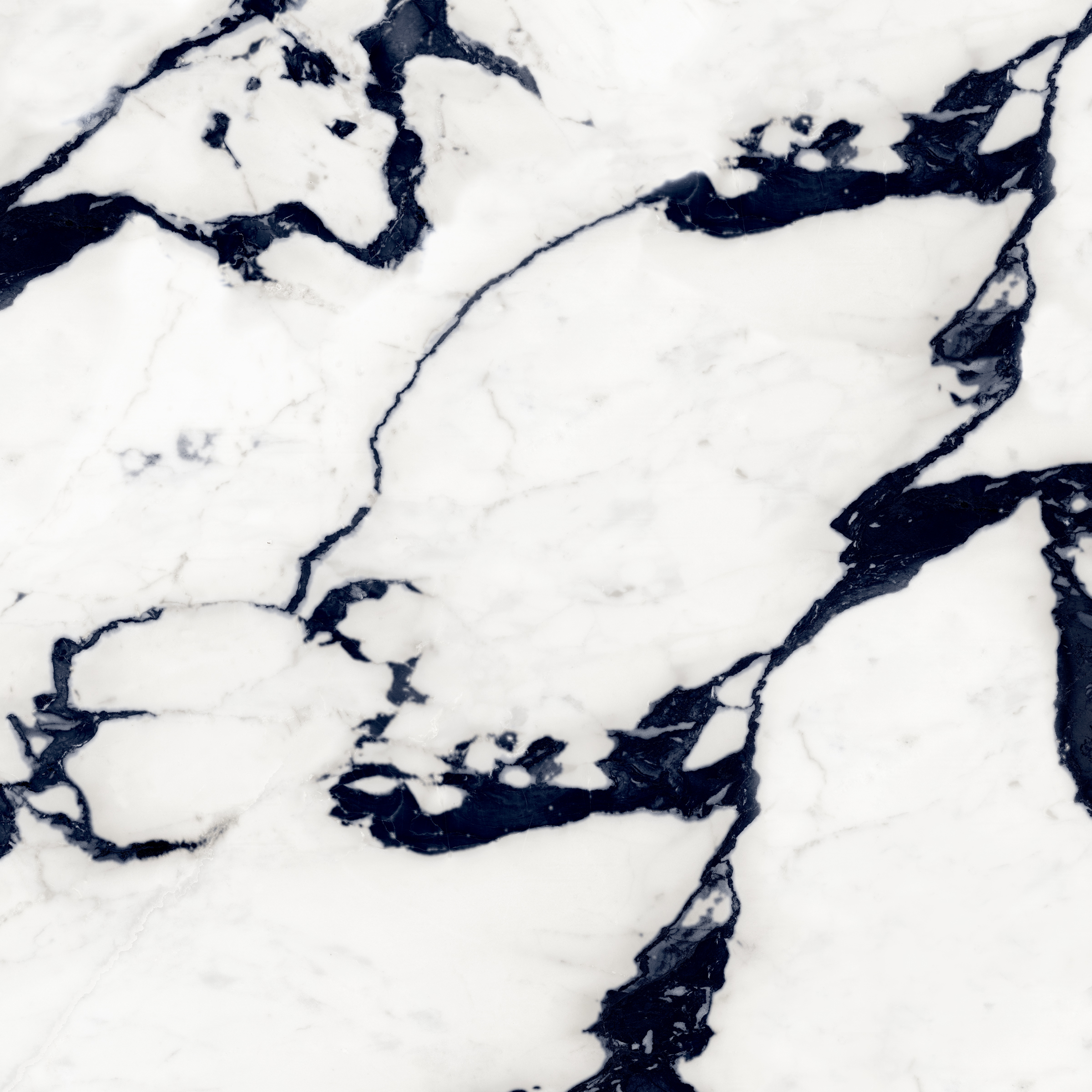 White Black Martin 1200x1200mm High Glossy Porcelain Tiles