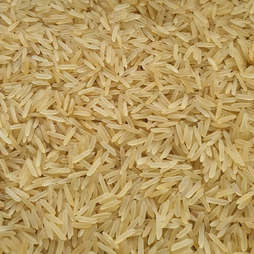 Sugandha Golden Rice