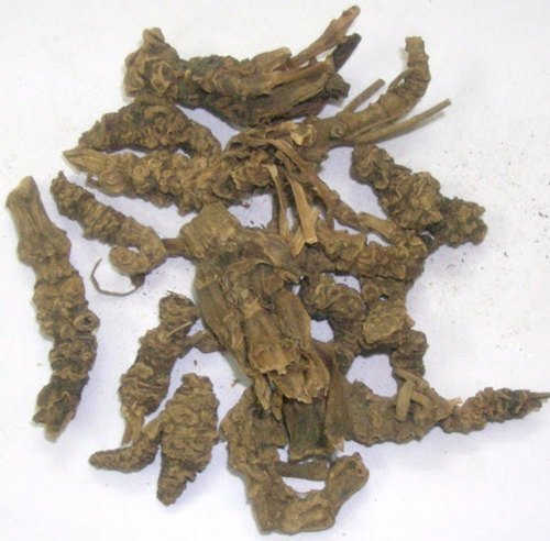 Tagar Valeriana Wallichii Grade: Food