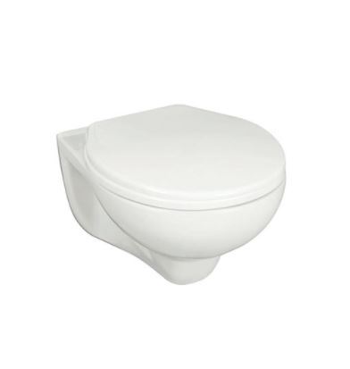 Any Color Wall Hung Closet Toilet