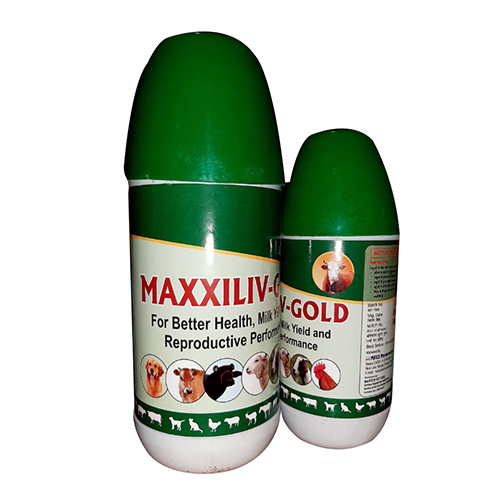 Maxxiliv Gold