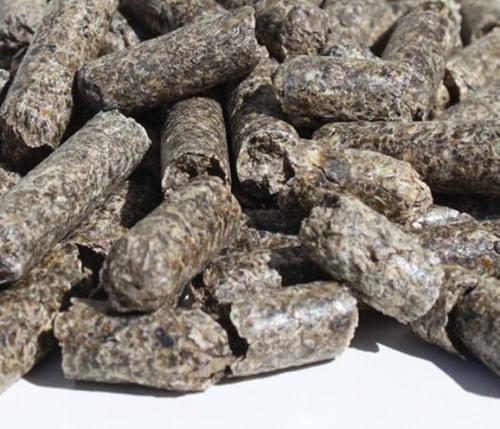 Sugar Beet Pulp Pellets Admixture (%): 5