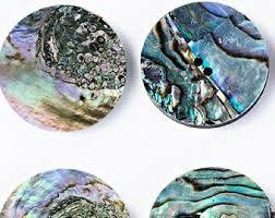 Paua Shell Buttons - Color: Multi Color