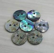 Paua Shell Buttons - Color: Multi Color