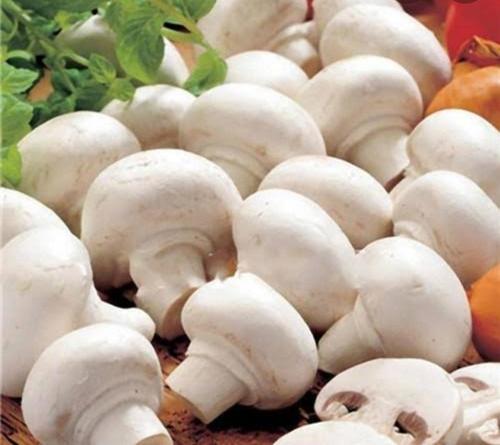Ooty Mushroom
