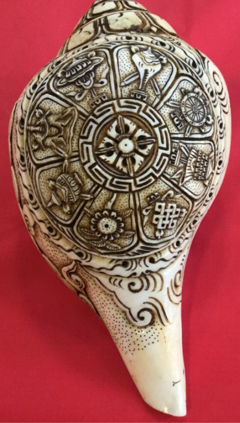 Natural White 8 Buddhist Auspicious Conch Shell