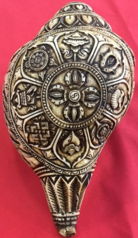 Natural White 8 Buddhist Auspicious Conch Shell