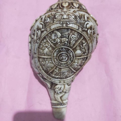 Natural White 8 Buddhist Auspicious Conch Shell
