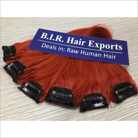 Clip in Hair Extensions - Premium Synthetic Fiber | Seamless, Easy Clip Technology, Lightweight and Natural Look, Versatile Styling Options