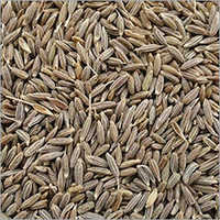 Cumin Seeds