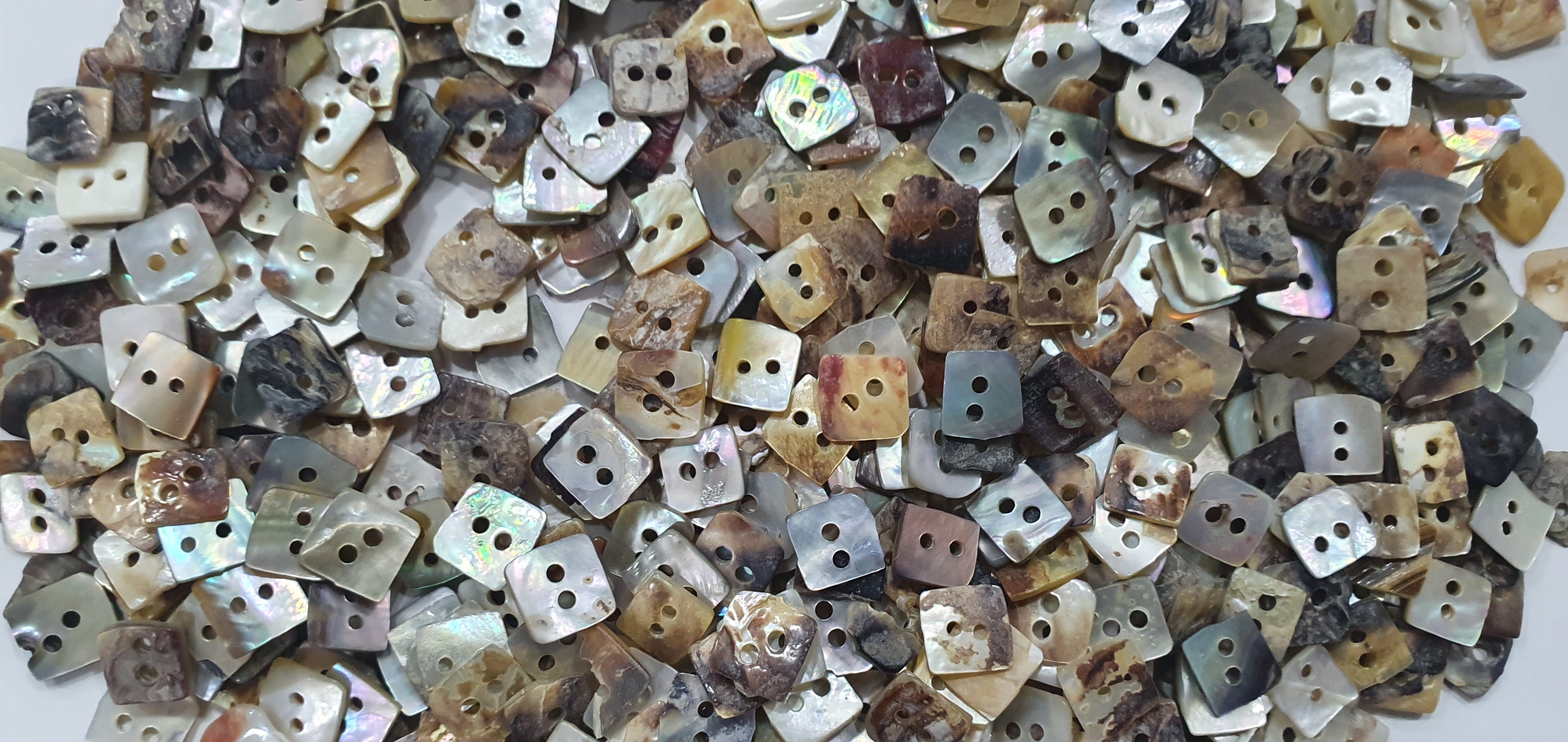 Natural Akoya Shell Buttons - Shape: Round